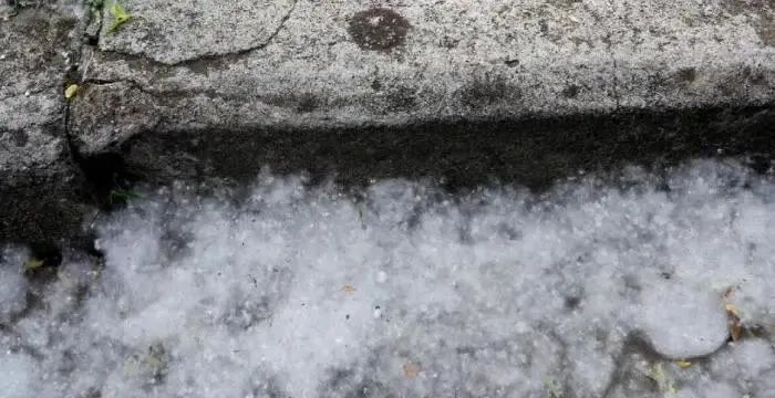 春季柳絮多，空壓機如何防范和清理