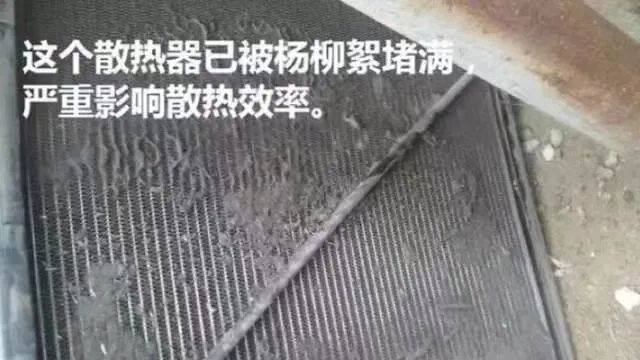 春季柳絮多，空壓機如何防范和清理